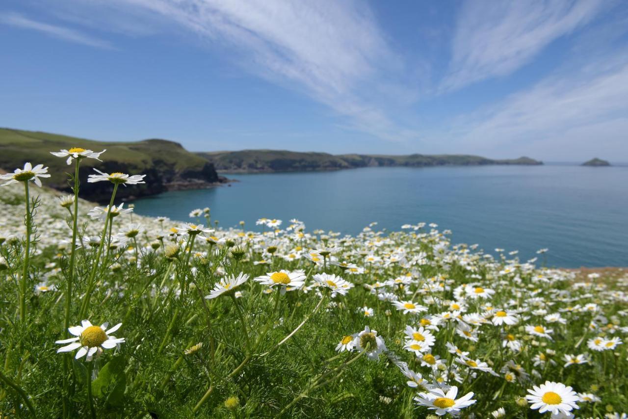 Tranquil Cornish Retreat Close To Port Isaac Beaches And Moor Bodmin Exterior foto